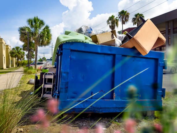 Yard Cleanup Services in Sawmills, NC